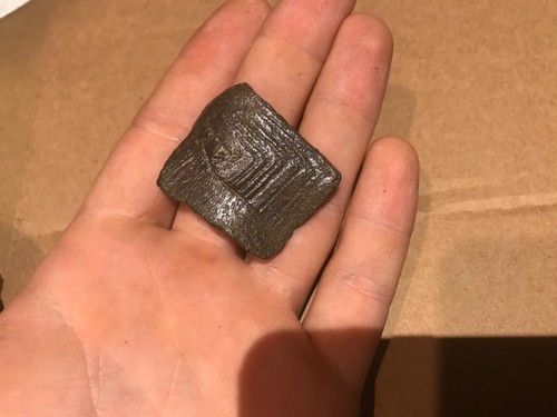 Fossil river turtle - turtle,